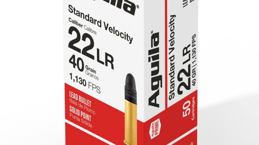 Aguila Ammunition .22LR SV 40 Grain Solid Point Brass Case Rimfire Ammo, 50 Rounds, AGUI1B220332